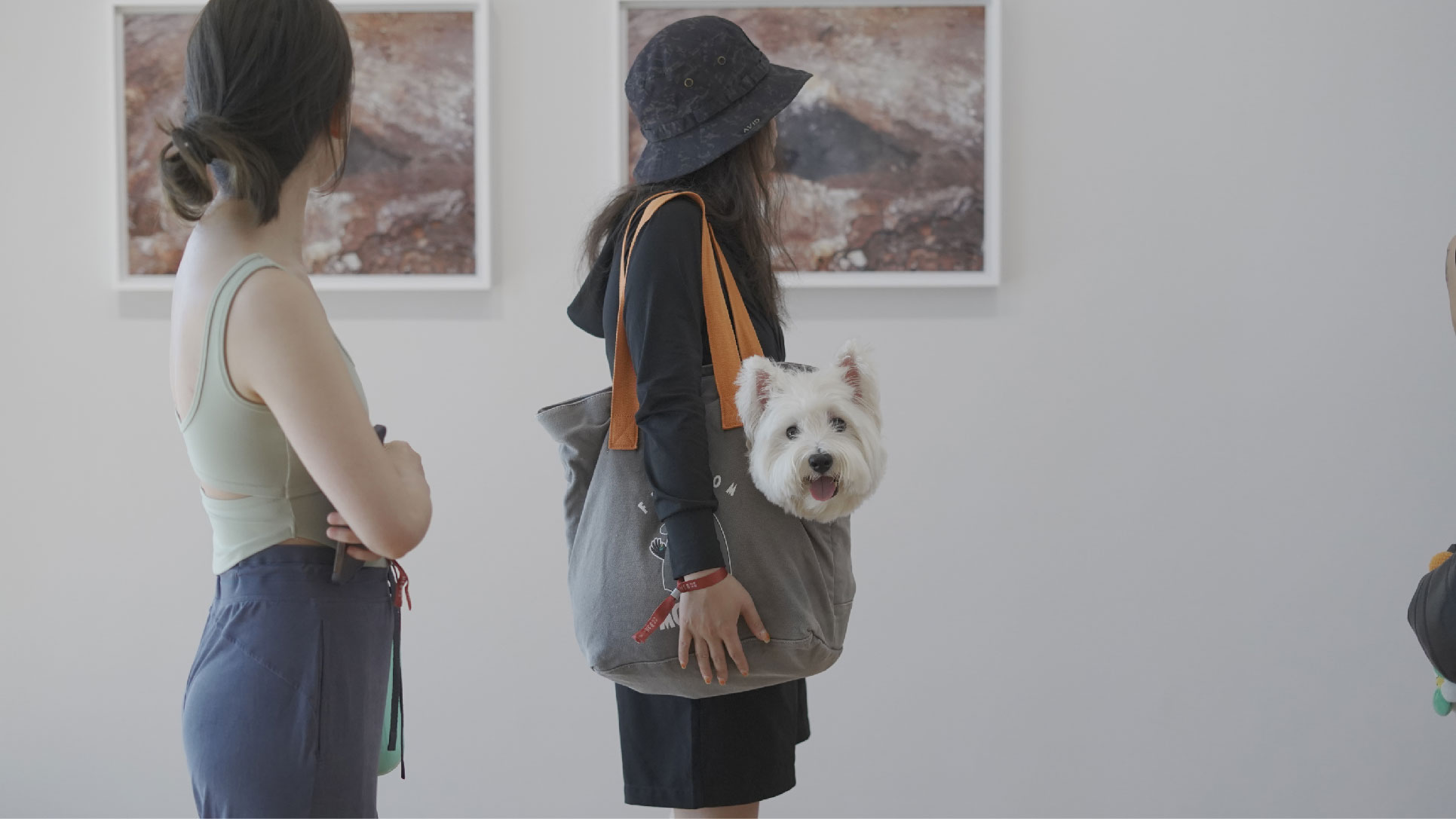 狗3.jpg