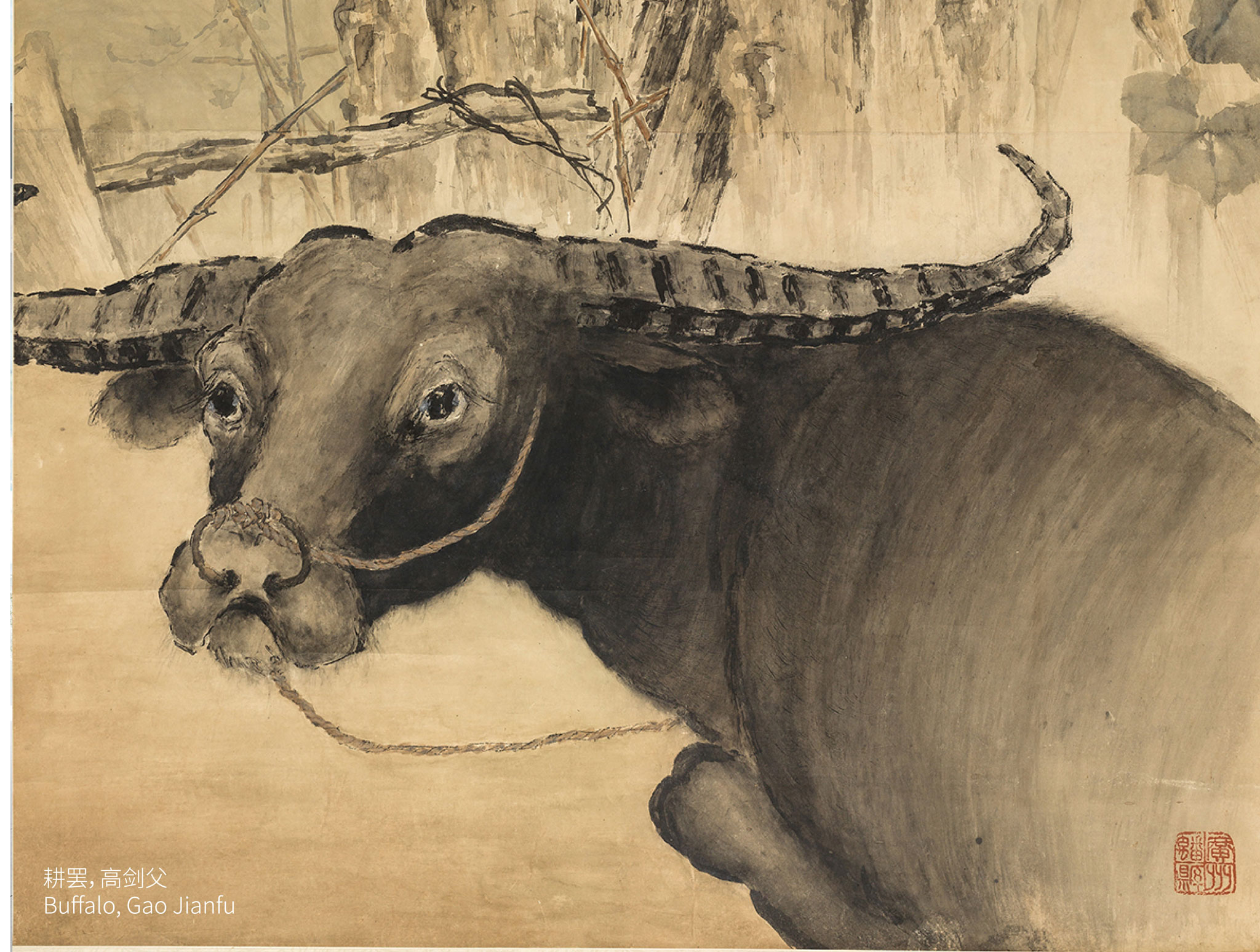 Buffalo, Gao Jianfu